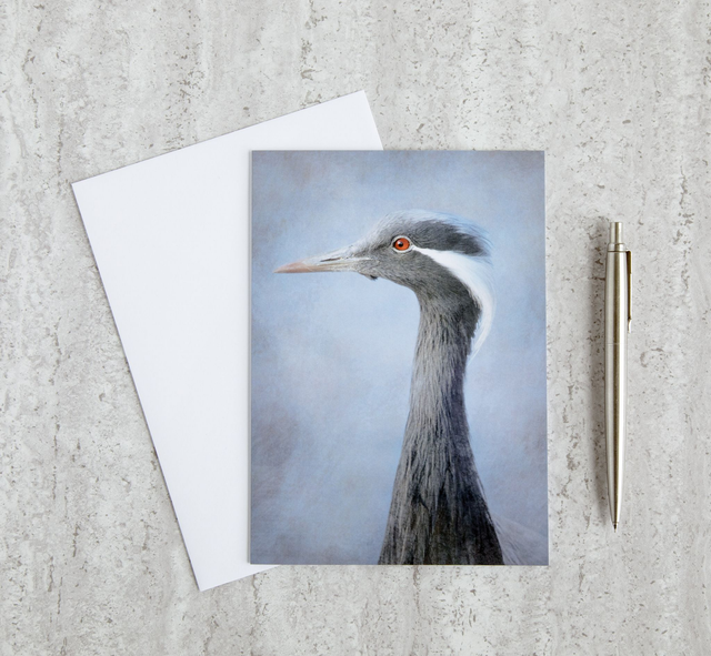Demoiselle Crane Blank Card