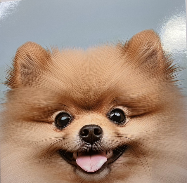 Darkroom Photography Say Cheese 