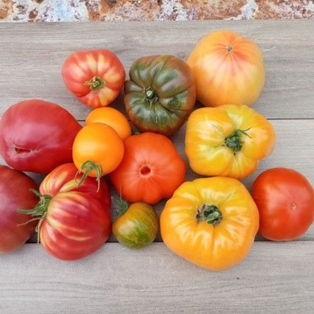 Tomates 500g