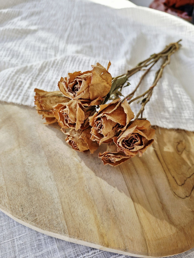 Vide atelier - Roses branchues séchées