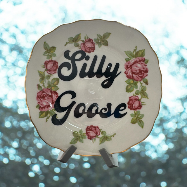 Silly Goose
