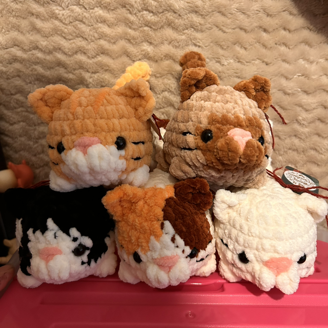 Chat (possible personnalisée en DM)