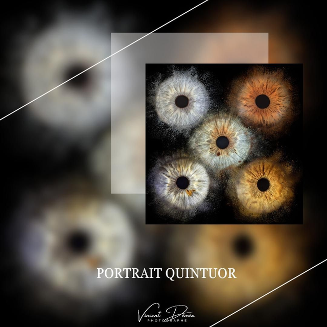 Séance Portrait Iris Quintuor Format 30*45cm 