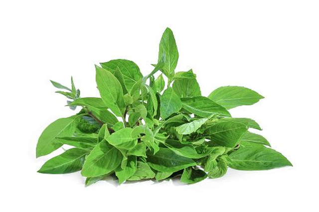 Sweet Basil 100g