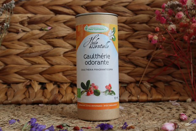 Huile Essentielle Gaulthérie Couchée BIO (Gaulthéria Procumbens) 10ml