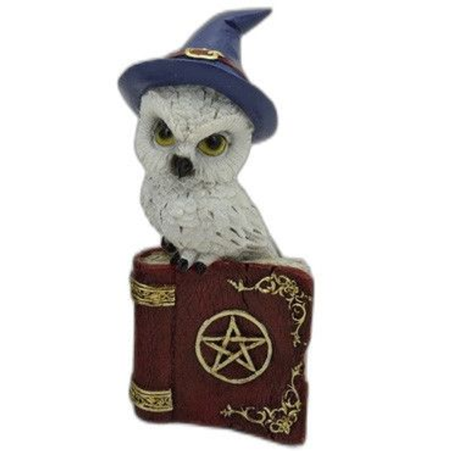 Chouette sur grimoire rouge