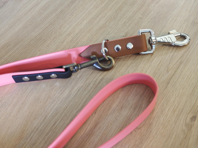 Laisse 25mm Multi position