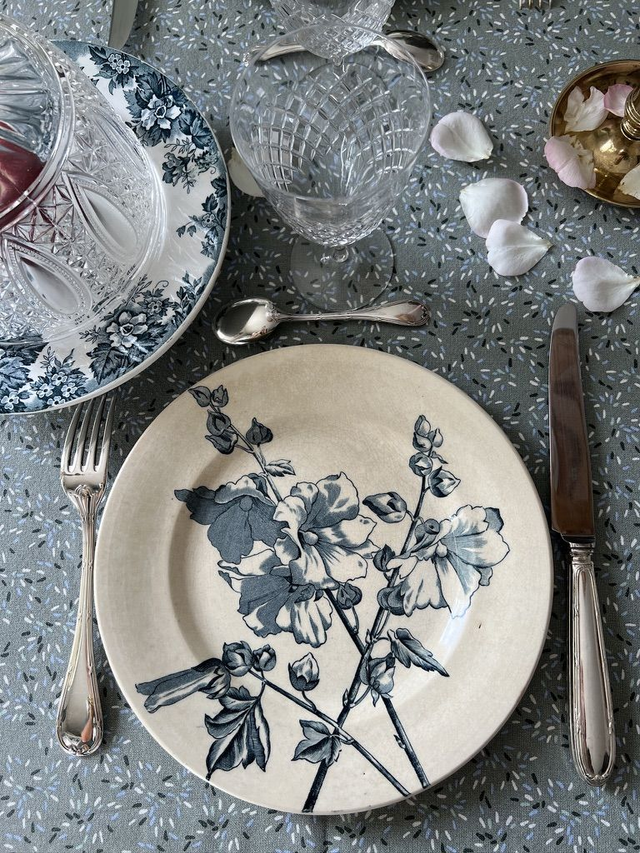 TREMIERES - Assiette Plate de la manufacture des Salins XIXème siècle - Terre de Fer