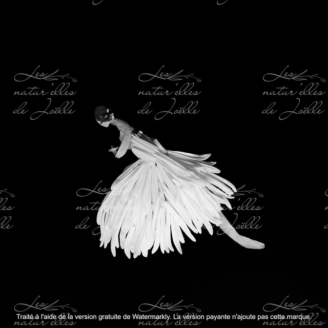 Giselle  second acte 20x20cm Papier Fine Art 308g/m2 