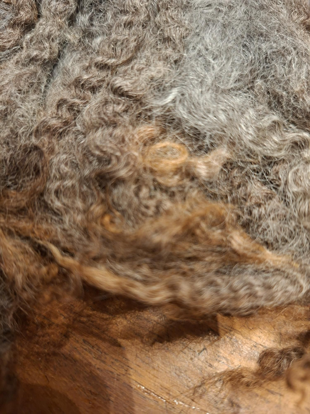 Gotland croisé 35g Boucles01106