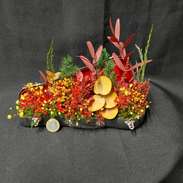 Étui de violoncelle