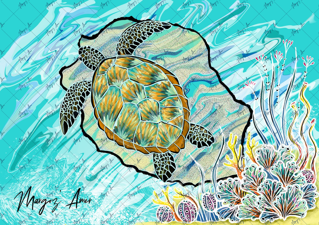 Carte de la Réunion Tortue