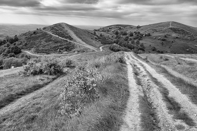 Malvern monochrome 