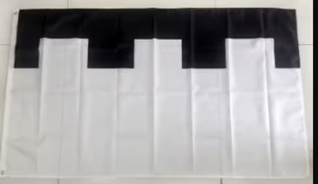 Grote vlag Zeist (150x90cm)