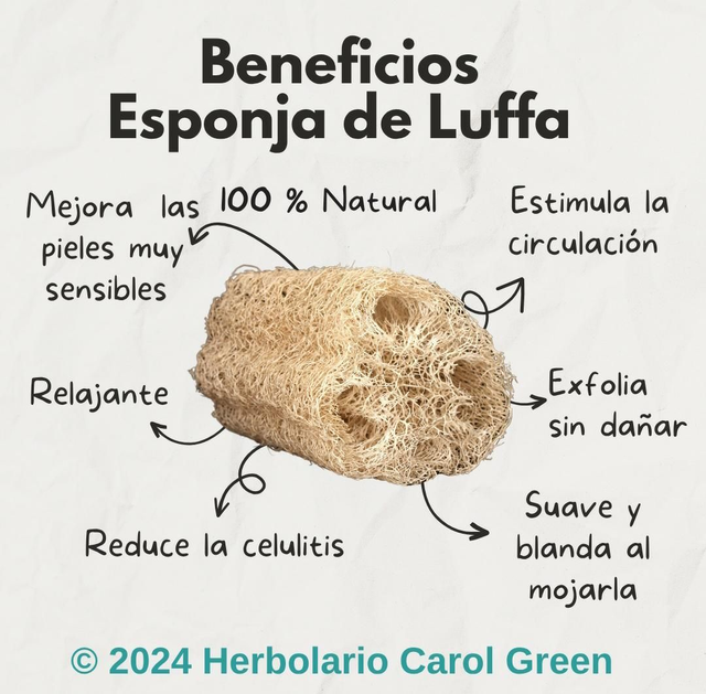 Esponja vegetal de calabaza luffa 