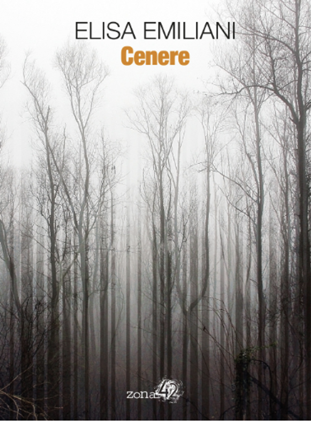 Emiliani Elisa - Cenere