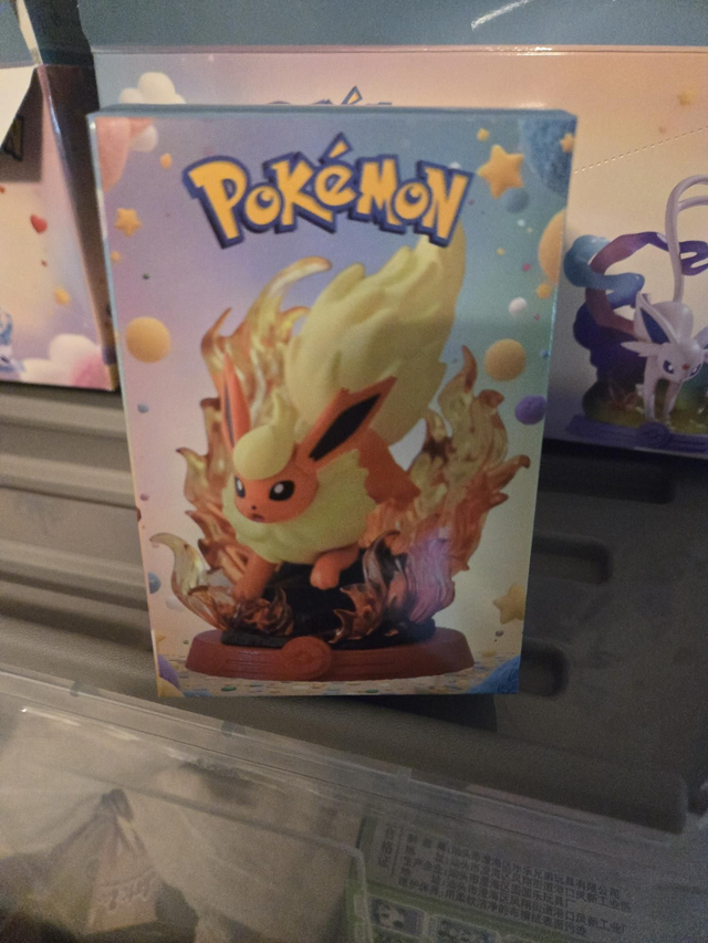 Mystery Pokemon box