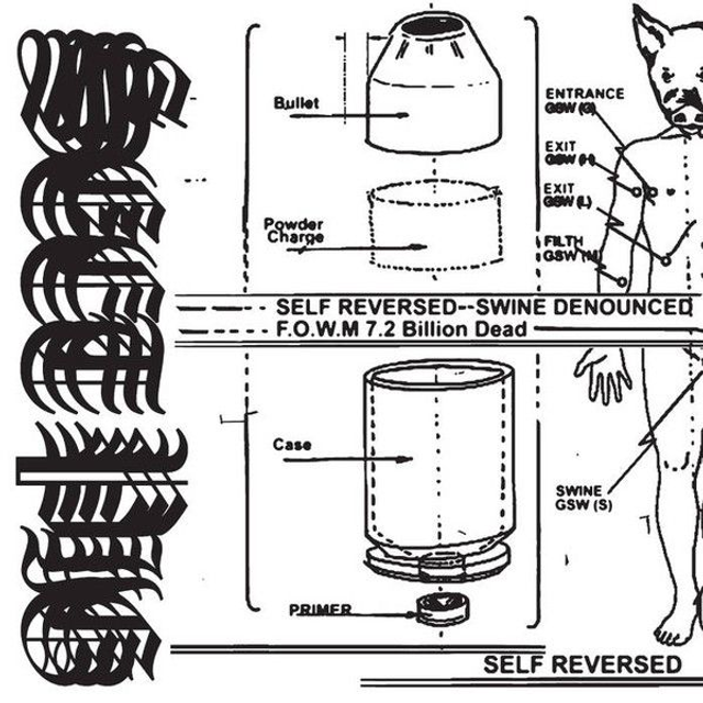 Sect Pig – Self Reversed Used CD for Sale