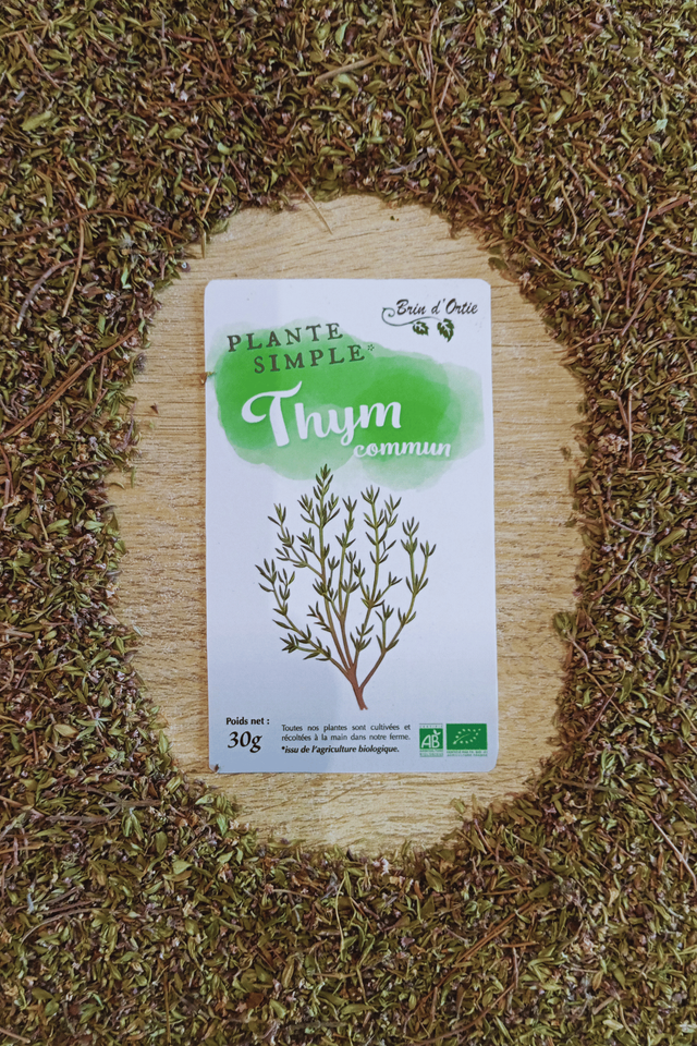Plante simple, Thym commun