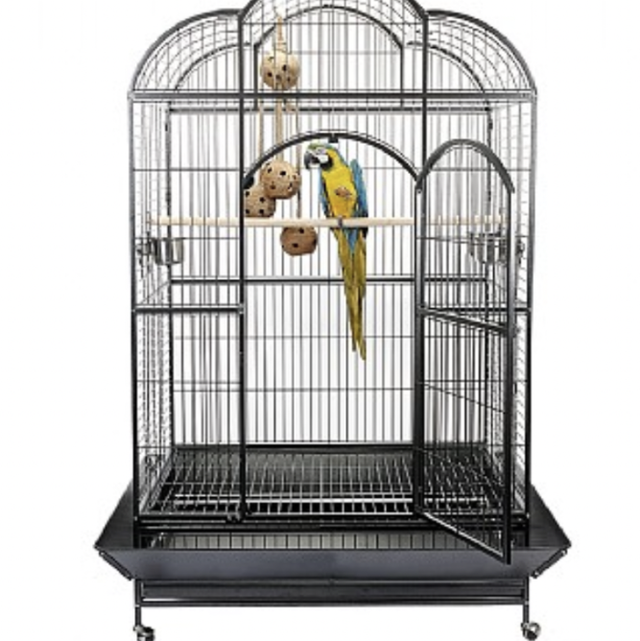 Liberta Atlantis Large Macaw Parrot Cage 