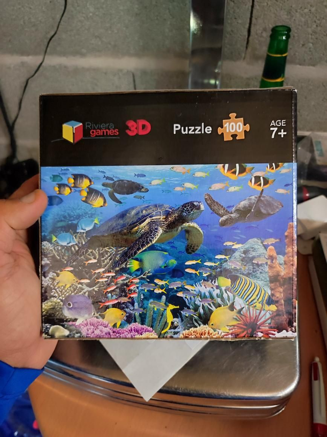 PUZZLE 3D 100 PIECES