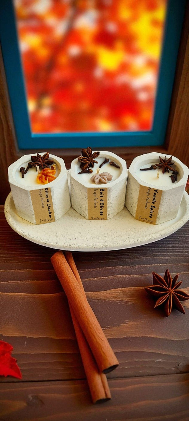 ✨ Trio de bougies automnales – Bois d’Olivier, Délice de Chaudron & Vanille Épicée