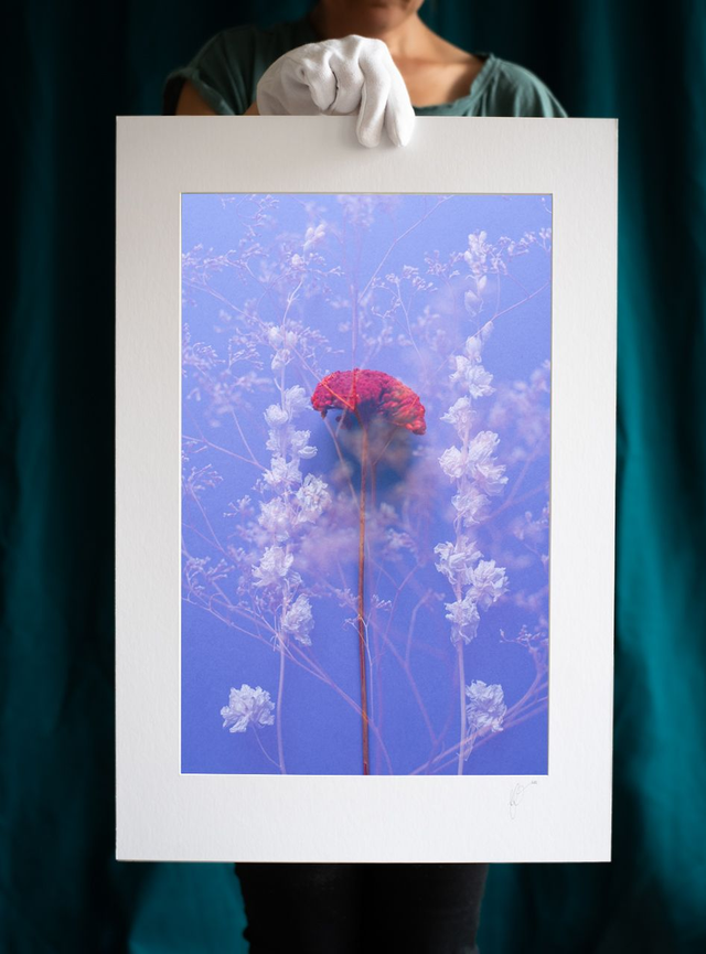 Fleurs éternelles - 4