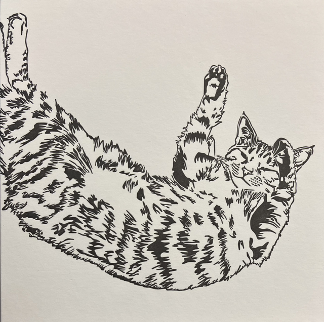 Traditional Letterpress Cats &amp; Dogs Cat Time to Stretch 