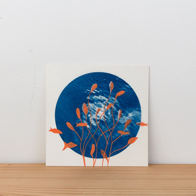 Fond marin - Carte cyanotype - 13 x 13 cm