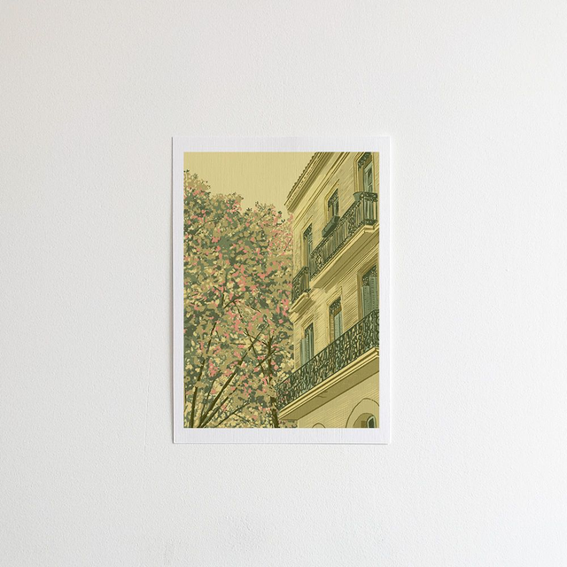 Rue de la Colombette