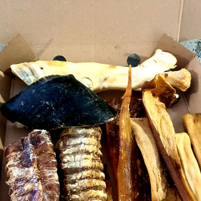 Longer Lasting Treat Box