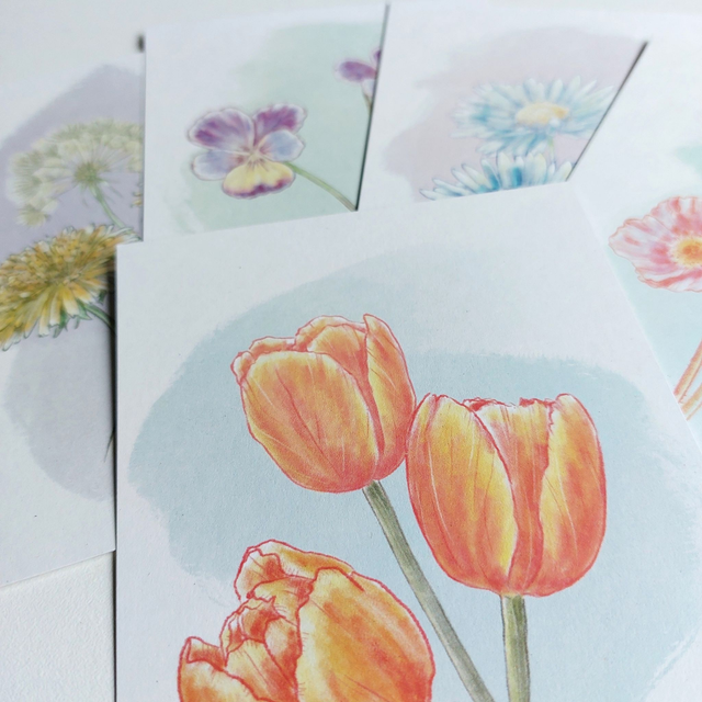 set bloemenkaarten