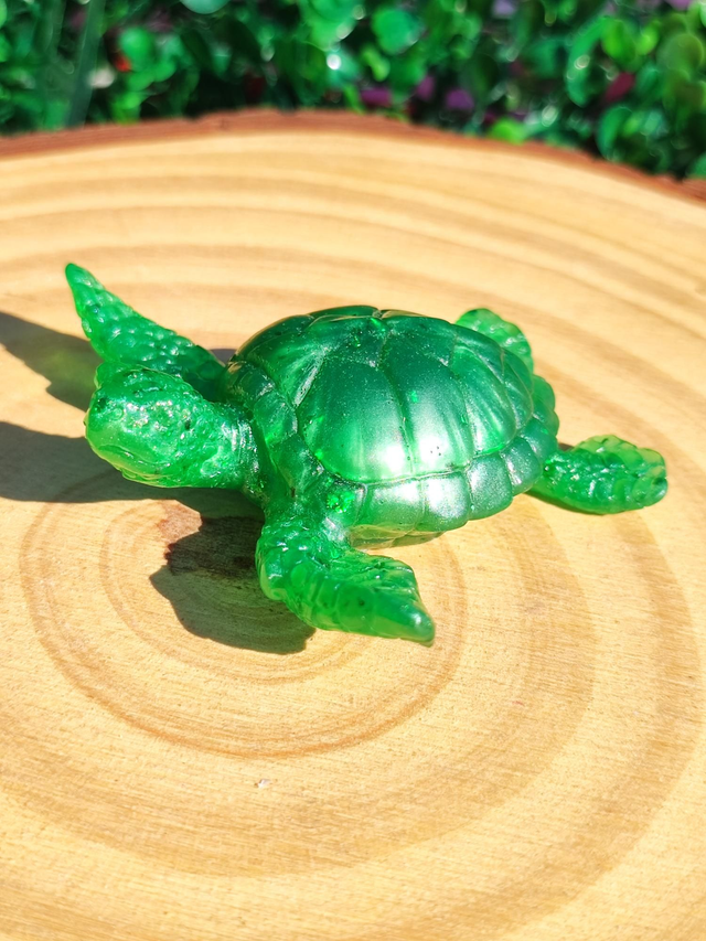 Tortue de mer 