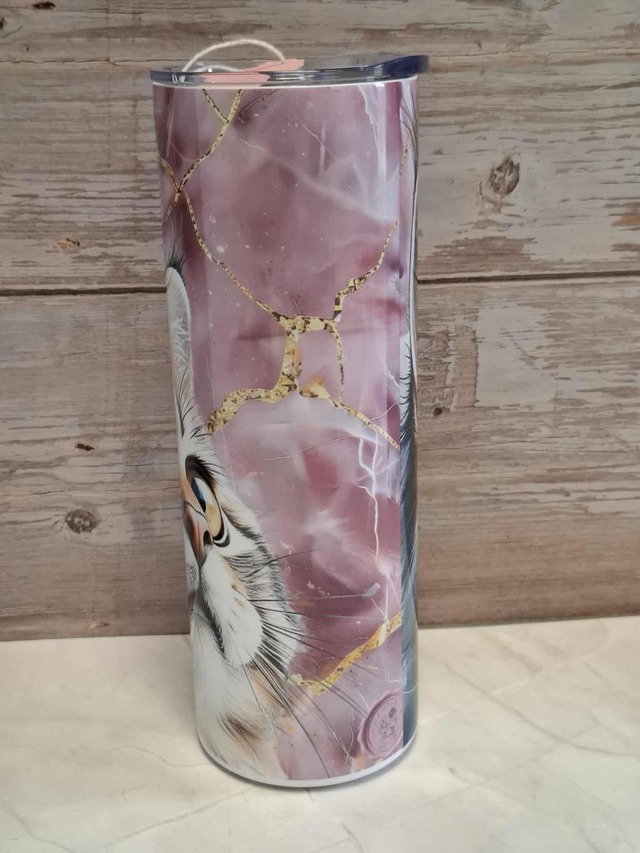 Gourde canette Maine coon