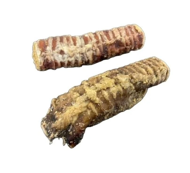 Collagen Filled Trachea 