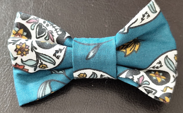 Les petites barrettes