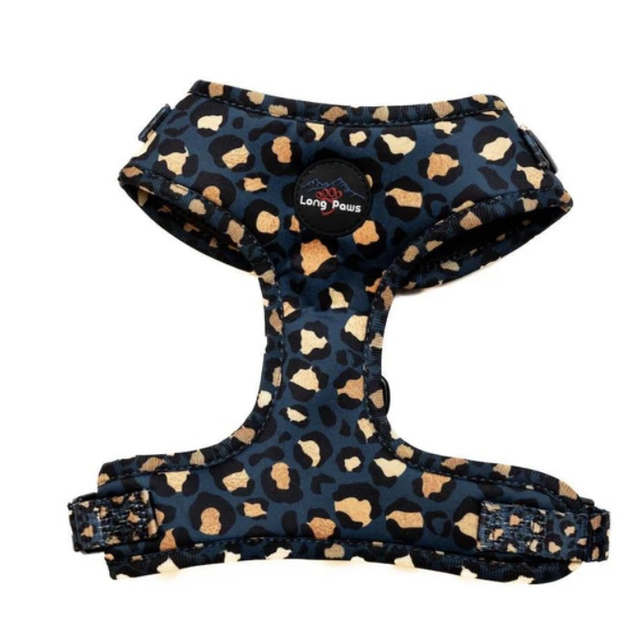 Funk The Dog Green and Gold Harness