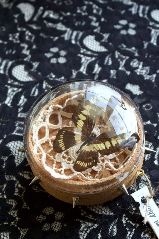 Graphium latreillianium theorini