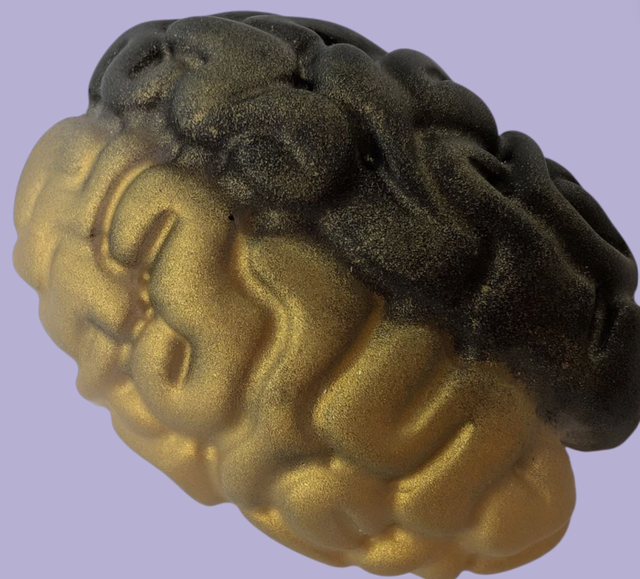 Brain Magnet (Black & Gold Design)
