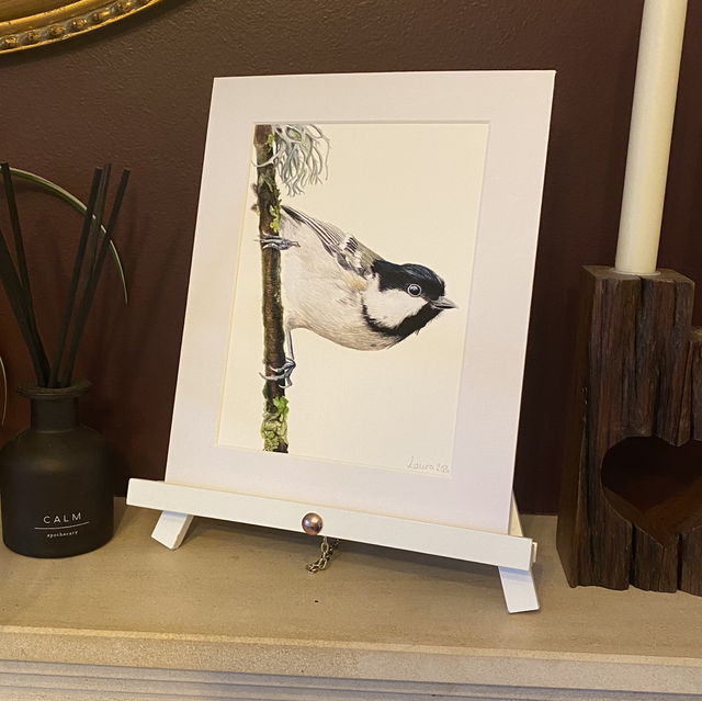 Coal Tit Fine Art Print