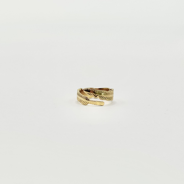 Anillo Pluma
