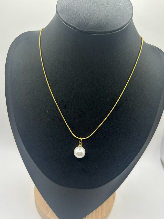 Stainless Steel Necklace (SSN33J)