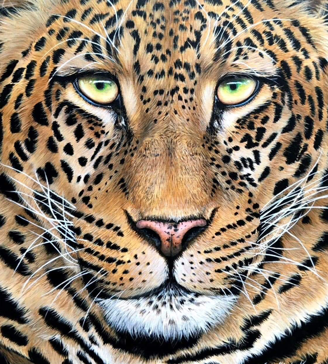 ‘Leopard up close’ Original Painting