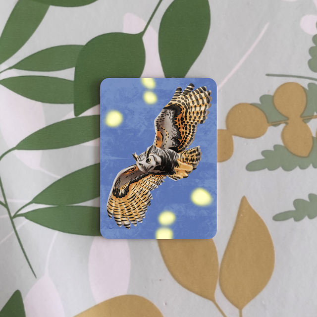 Oiseaux