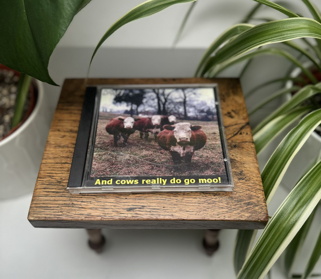 Draft - And cows really do go moo! (CD)