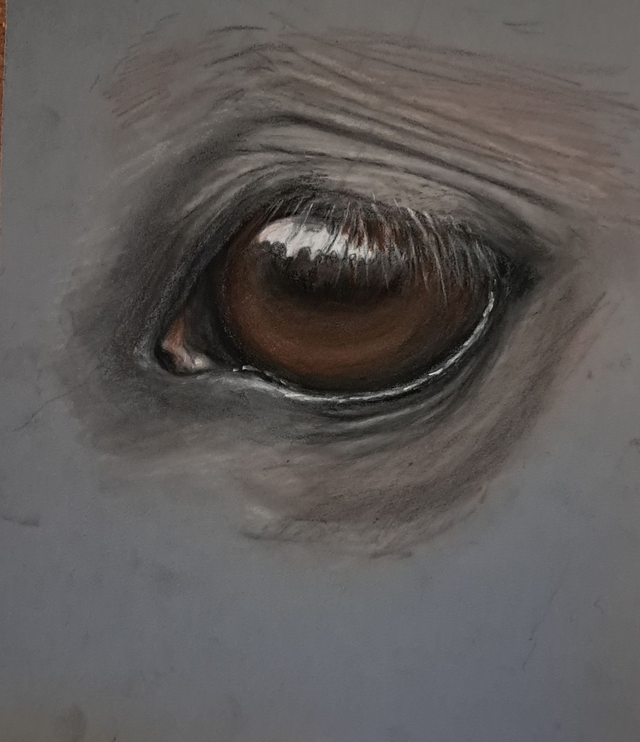 A Gentle Eye Original pastel on pastelmat, 16 X 23 cm