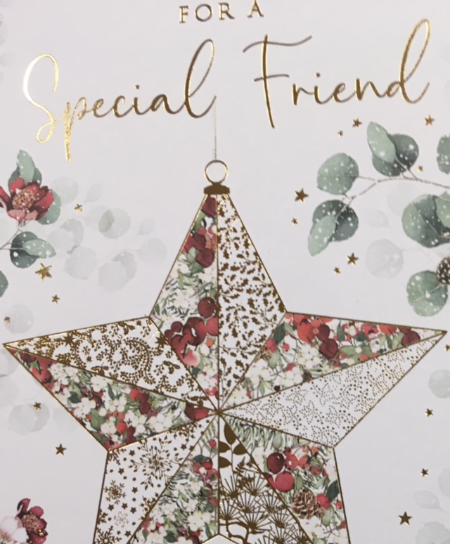 Christmas Friend Special Friend (Star) NQ