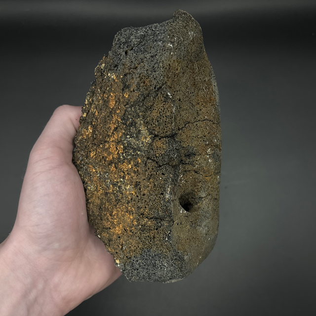 Whale Partial Vertebra