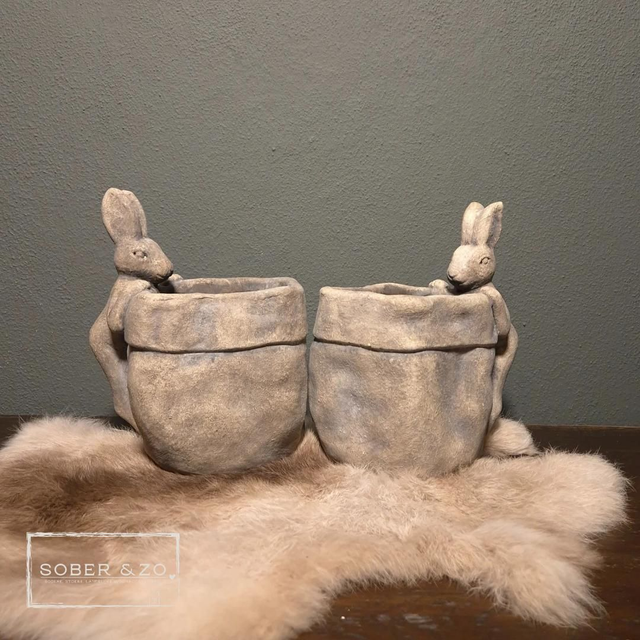 Betonnen bakje met glurend haasje