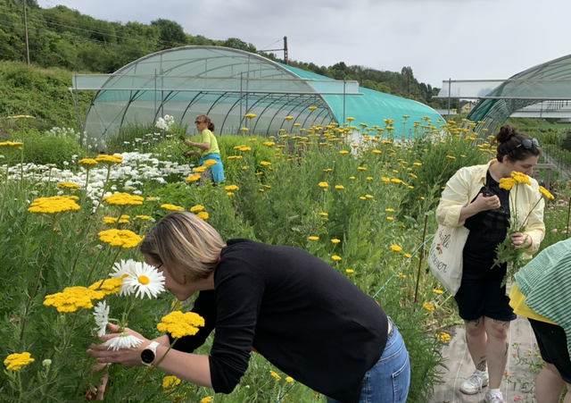Atelier floral au champ Bouquet Champêtre